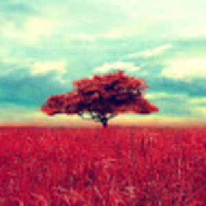 Meet your Posher, Leidys